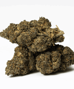 Mint Cake is an indica dominant hybrid strain (70% indica/30% sativa) created through crossing the potent Animal Mints X Wedding Cake strains. A tasty bud with amazing clear-headed effects, Mint Cake is perfect for a day when you want to relax but still want your mind to be active.