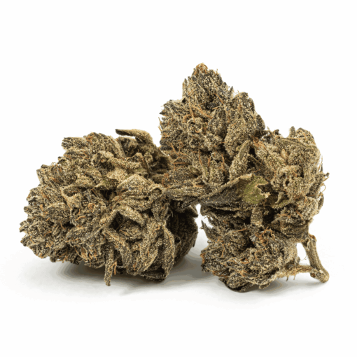 Purple Picasso is a flavorful indica-dominant hybrid (60/40) crafted from Godfather Purple and OZK, delivering a creative, calming high with THC levels between 20–26%.