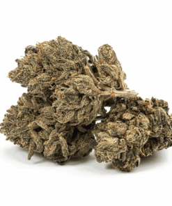 Purple Picasso is a flavorful indica-dominant hybrid (60/40) crafted from Godfather Purple and OZK, delivering a creative, calming high with THC levels between 20–26%.