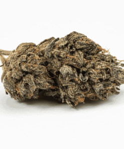 Purple Picasso is a flavorful indica-dominant hybrid (60/40) crafted from Godfather Purple and OZK, delivering a creative, calming high with THC levels between 20–26%.