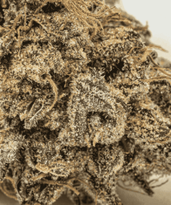 Purple Picasso is a flavorful indica-dominant hybrid (60/40) crafted from Godfather Purple and OZK, delivering a creative, calming high with THC levels between 20–26%.