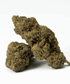 Watermelon Punch is an indica dominant hybrid strain (70% indica/30% sativa) created through crossing the delicious Watermelon X Purple Punch strains.