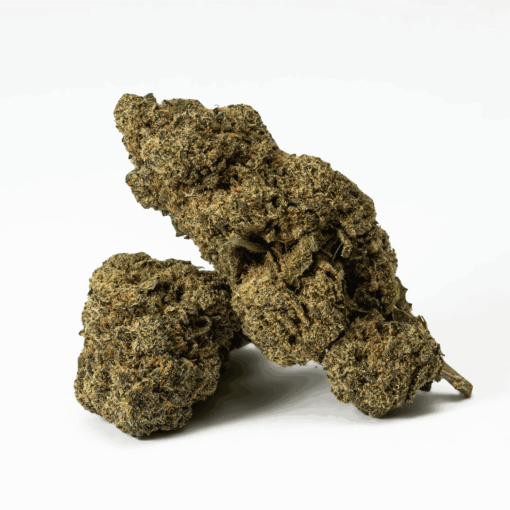 Watermelon Punch is an indica dominant hybrid strain (70% indica/30% sativa) created through crossing the delicious Watermelon X Purple Punch strains.