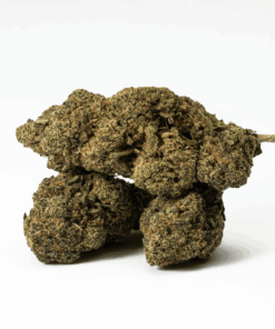 Watermelon Punch is an indica dominant hybrid strain (70% indica/30% sativa) created through crossing the delicious Watermelon X Purple Punch strains.