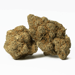 Z Crasher, also known as “Z-Crasher,” is a slightly indica dominant hybrid strain (60% indica/40% sativa) created through crossing the delicious Zkittlez X Wedding Crasher strains.