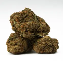 Royal Kush is an 80/20 indica-dominant hybrid known for its potent, long-lasting effects and rich earthy-skunk aroma. A cross of Afghani and Skunk #1, it delivers a euphoric cerebral high that melts into full-body relaxation and deep, restful sleep. With THC levels over 18%, it's ideal for easing stress, pain, insomnia, and depression. Best suited for evening use.