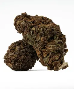Black Jack is a 70/30 indica-dominant hybrid with THC levels around 17%, offering a euphoric body high and deep relaxation. A cross of Black Domina and Jack Herer, it's ideal for relieving stress, chronic pain, depression, and insomnia. Known for its sweet, citrus-pine flavor and earthy aroma, it also boosts creativity and focus. Best suited for evening use.