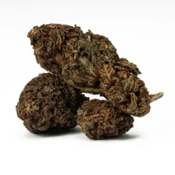 Black Jack is a 70/30 indica-dominant hybrid with THC levels around 17%, offering a euphoric body high and deep relaxation. A cross of Black Domina and Jack Herer, it's ideal for relieving stress, chronic pain, depression, and insomnia. Known for its sweet, citrus-pine flavor and earthy aroma, it also boosts creativity and focus. Best suited for evening use.