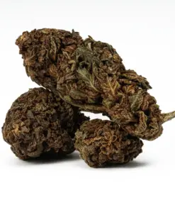 Black Jack is a 70/30 indica-dominant hybrid with THC levels around 17%, offering a euphoric body high and deep relaxation. A cross of Black Domina and Jack Herer, it's ideal for relieving stress, chronic pain, depression, and insomnia. Known for its sweet, citrus-pine flavor and earthy aroma, it also boosts creativity and focus. Best suited for evening use.