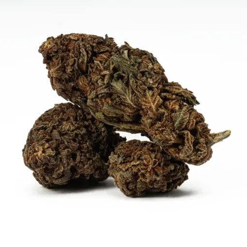Black Jack is a 70/30 indica-dominant hybrid with THC levels around 17%, offering a euphoric body high and deep relaxation. A cross of Black Domina and Jack Herer, it's ideal for relieving stress, chronic pain, depression, and insomnia. Known for its sweet, citrus-pine flavor and earthy aroma, it also boosts creativity and focus. Best suited for evening use.