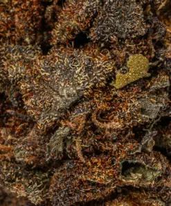 Black Jack is a 70/30 indica-dominant hybrid with THC levels around 17%, offering a euphoric body high and deep relaxation. A cross of Black Domina and Jack Herer, it's ideal for relieving stress, chronic pain, depression, and insomnia. Known for its sweet, citrus-pine flavor and earthy aroma, it also boosts creativity and focus. Best suited for evening use.