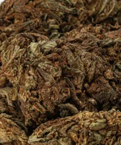 Black Jack is a 70/30 indica-dominant hybrid with THC levels around 17%, offering a euphoric body high and deep relaxation. A cross of Black Domina and Jack Herer, it's ideal for relieving stress, chronic pain, depression, and insomnia. Known for its sweet, citrus-pine flavor and earthy aroma, it also boosts creativity and focus. Best suited for evening use.