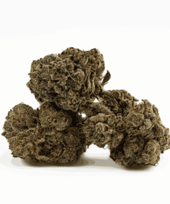 Gasolina is a 60/40 indica-dominant hybrid with an intense gassy, peppery aroma and sweet vanilla-berry flavor.
