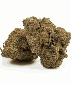 Gobbstopper is a 50/50 hybrid known for its sweet, candy-like flavor blending berries, citrus, and a hint of diesel.