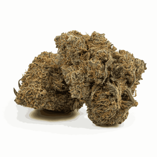 Gobbstopper is a 50/50 hybrid known for its sweet, candy-like flavor blending berries, citrus, and a hint of diesel.