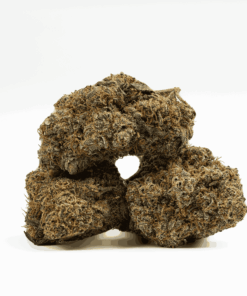 Gobbstopper is a 50/50 hybrid known for its sweet, candy-like flavor blending berries, citrus, and a hint of diesel.