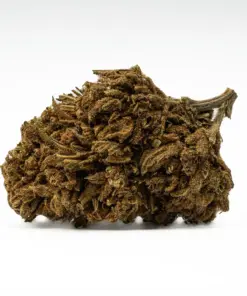Golden Haze is a 70/30 sativa-dominant hybrid with a bright citrus-berry flavor and earthy, spicy aroma. A cross of Super Silver Haze and Amnesia Haze, it delivers an uplifting, euphoric high that boosts mood and energy while gently relaxing the body. With 17% THC, it’s ideal for easing stress, anxiety, depression, and mild pain without sedation.