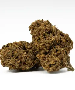Golden Haze is a 70/30 sativa-dominant hybrid with a bright citrus-berry flavor and earthy, spicy aroma. A cross of Super Silver Haze and Amnesia Haze, it delivers an uplifting, euphoric high that boosts mood and energy while gently relaxing the body. With 17% THC, it’s ideal for easing stress, anxiety, depression, and mild pain without sedation.