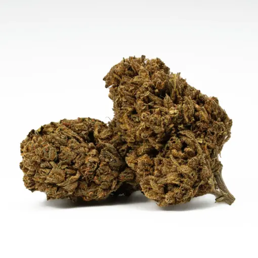 Golden Haze is a 70/30 sativa-dominant hybrid with a bright citrus-berry flavor and earthy, spicy aroma. A cross of Super Silver Haze and Amnesia Haze, it delivers an uplifting, euphoric high that boosts mood and energy while gently relaxing the body. With 17% THC, it’s ideal for easing stress, anxiety, depression, and mild pain without sedation.