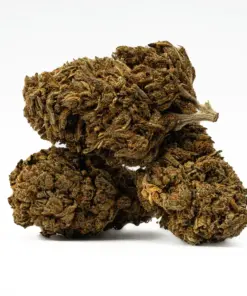 Golden Haze is a 70/30 sativa-dominant hybrid with a bright citrus-berry flavor and earthy, spicy aroma. A cross of Super Silver Haze and Amnesia Haze, it delivers an uplifting, euphoric high that boosts mood and energy while gently relaxing the body. With 17% THC, it’s ideal for easing stress, anxiety, depression, and mild pain without sedation.