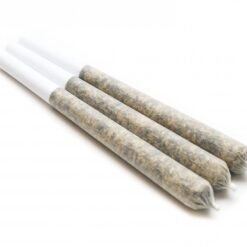 Packed with premium flower and potent kief, these smooth-burning pre-rolls deliver serious THC strength without the prep. Available in 5, 10, or 20-packs, they offer a clean, convenient, and elevated hybrid experience - perfect for any time of day.