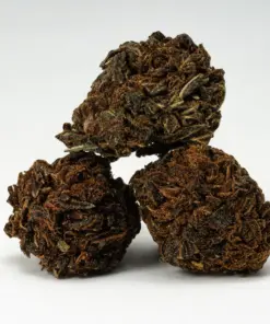 Irish Cream is a 70/30 indica-dominant hybrid known for its earthy, herbal pine flavor and calming effects. With THC levels around 16-17%, it delivers a light cerebral uplift followed by deep full-body relaxation and mild sedation. Ideal for easing stress, anxiety, pain, and fatigue, it promotes sociability before gently winding you down.