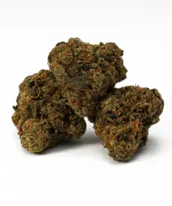 Lagoon is a 60/40 indica-dominant hybrid and a potent descendant of the classic Blueberry strain. It offers sweet berry flavors with earthy, spicy notes and delivers a calming, euphoric high. Ideal for evening use, Lagoon promotes sociability before easing you into deep physical relaxation and mild psychedelic effects. With 15–18% THC, it’s great for managing pain, stress, depression, insomnia, and nausea.