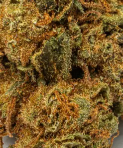 Lagoon is a 60/40 indica-dominant hybrid and a potent descendant of the classic Blueberry strain. It offers sweet berry flavors with earthy, spicy notes and delivers a calming, euphoric high. Ideal for evening use, Lagoon promotes sociability before easing you into deep physical relaxation and mild psychedelic effects. With 15–18% THC, it’s great for managing pain, stress, depression, insomnia, and nausea.