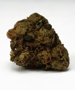 Lagoon is a 60/40 indica-dominant hybrid and a potent descendant of the classic Blueberry strain. It offers sweet berry flavors with earthy, spicy notes and delivers a calming, euphoric high. Ideal for evening use, Lagoon promotes sociability before easing you into deep physical relaxation and mild psychedelic effects. With 15–18% THC, it’s great for managing pain, stress, depression, insomnia, and nausea.