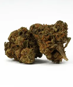 Lagoon is a 60/40 indica-dominant hybrid and a potent descendant of the classic Blueberry strain. It offers sweet berry flavors with earthy, spicy notes and delivers a calming, euphoric high. Ideal for evening use, Lagoon promotes sociability before easing you into deep physical relaxation and mild psychedelic effects. With 15–18% THC, it’s great for managing pain, stress, depression, insomnia, and nausea.