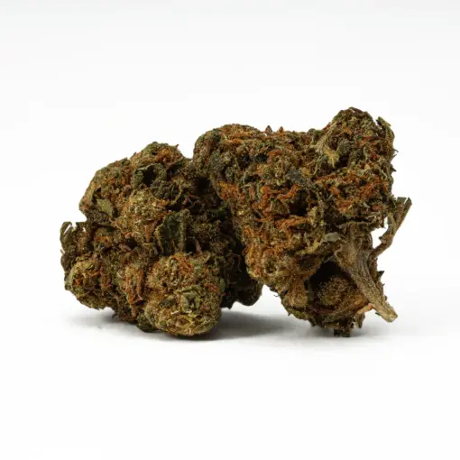 Lagoon is a 60/40 indica-dominant hybrid and a potent descendant of the classic Blueberry strain. It offers sweet berry flavors with earthy, spicy notes and delivers a calming, euphoric high. Ideal for evening use, Lagoon promotes sociability before easing you into deep physical relaxation and mild psychedelic effects. With 15–18% THC, it’s great for managing pain, stress, depression, insomnia, and nausea.