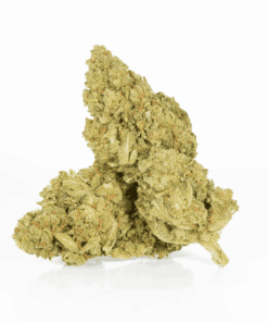 Mango Lemonade is a flavorful 60/40 indica-dominant hybrid with a sweet citrus-mango taste and hints of spicy diesel and pine. A cross of Gorilla Glue #4, Mango #13, and Tropicanna Punch, it delivers an energizing cerebral boost followed by relaxing sedation.