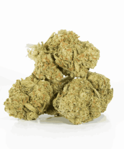 Mango Lemonade is a flavorful 60/40 indica-dominant hybrid with a sweet citrus-mango taste and hints of spicy diesel and pine. A cross of Gorilla Glue #4, Mango #13, and Tropicanna Punch, it delivers an energizing cerebral boost followed by relaxing sedation.