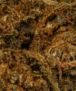 Mango Tango is a 70/30 indica-dominant hybrid known for its sweet citrus-peach flavor and powerful, long-lasting effects. A cross of Tangie, Peaches, and True OG, it delivers a heavy body high and soaring cerebral buzz, best suited for experienced users. With 16–18% THC, it's ideal for easing chronic pain, depression, insomnia, and muscle spasms.