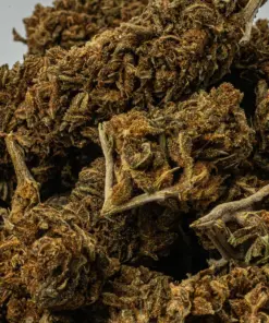 Mango Tango is a 70/30 indica-dominant hybrid known for its sweet citrus-peach flavor and powerful, long-lasting effects. A cross of Tangie, Peaches, and True OG, it delivers a heavy body high and soaring cerebral buzz, best suited for experienced users. With 16–18% THC, it's ideal for easing chronic pain, depression, insomnia, and muscle spasms.