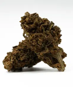 Mango Tango is a 70/30 indica-dominant hybrid known for its sweet citrus-peach flavor and powerful, long-lasting effects. A cross of Tangie, Peaches, and True OG, it delivers a heavy body high and soaring cerebral buzz, best suited for experienced users. With 16–18% THC, it's ideal for easing chronic pain, depression, insomnia, and muscle spasms.