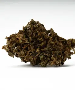 Mango Tango is a 70/30 indica-dominant hybrid known for its sweet citrus-peach flavor and powerful, long-lasting effects. A cross of Tangie, Peaches, and True OG, it delivers a heavy body high and soaring cerebral buzz, best suited for experienced users. With 16–18% THC, it's ideal for easing chronic pain, depression, insomnia, and muscle spasms.