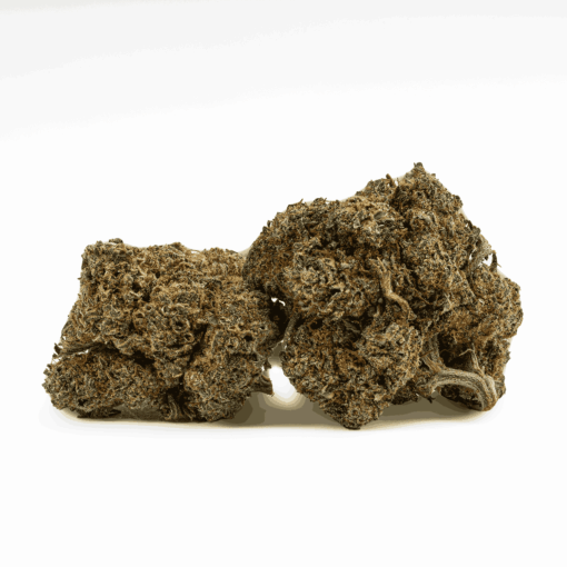 Milk Bone is a balanced hybrid strain made from Girl Scout Cookies (Forum Cut) and StarDawg F2, delivering a calming, sedative high.