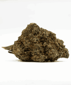 Milk Bone is a balanced hybrid strain made from Girl Scout Cookies (Forum Cut) and StarDawg F2, delivering a calming, sedative high.