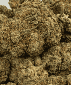 Milk Bone is a balanced hybrid strain made from Girl Scout Cookies (Forum Cut) and StarDawg F2, delivering a calming, sedative high.