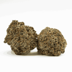 Mother of Berries (MOB) is a 90/10 indica-heavy hybrid known for its rich blueberry pie flavor and deeply relaxing effects.