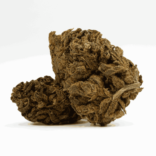 Odyssey is a balanced hybrid offering a euphoric, clear-headed high that gradually shifts into deep body relaxation and sleep. With sweet, candy-like flavors and notes of strawberry pancakes, it’s ideal for evening use.