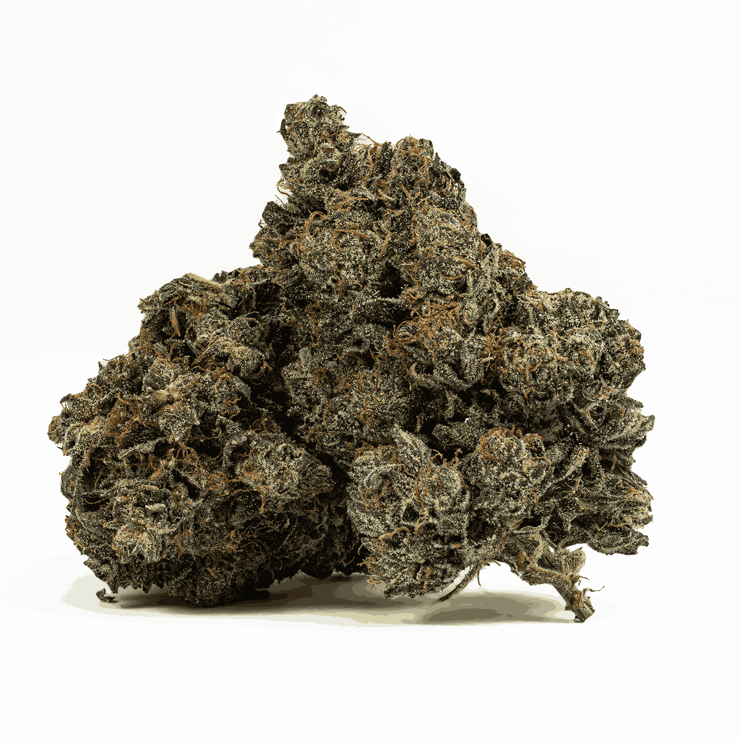 Pink Death Star is a rare, pure indica powerhouse born from Death Star and Blood Rose. Its dense, frosty buds shimmer with pink hues and amber hairs, releasing bold diesel and earthy spice aromas. Each inhale delivers notes of sweet berries and warm cinnamon with a rich diesel finish.