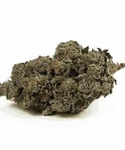 Pink Death Star is a rare, pure indica powerhouse born from Death Star and Blood Rose. Its dense, frosty buds shimmer with pink hues and amber hairs, releasing bold diesel and earthy spice aromas. Each inhale delivers notes of sweet berries and warm cinnamon with a rich diesel finish.