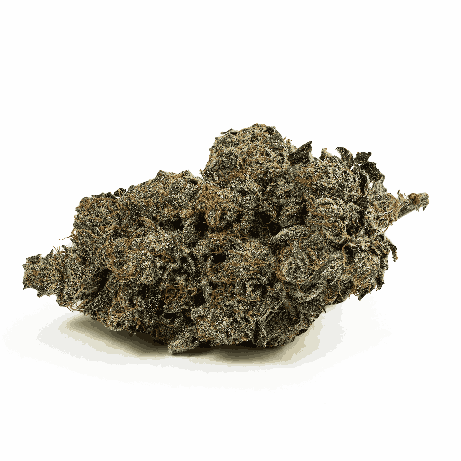 Pink Death Star is a rare, pure indica powerhouse born from Death Star and Blood Rose. Its dense, frosty buds shimmer with pink hues and amber hairs, releasing bold diesel and earthy spice aromas. Each inhale delivers notes of sweet berries and warm cinnamon with a rich diesel finish.