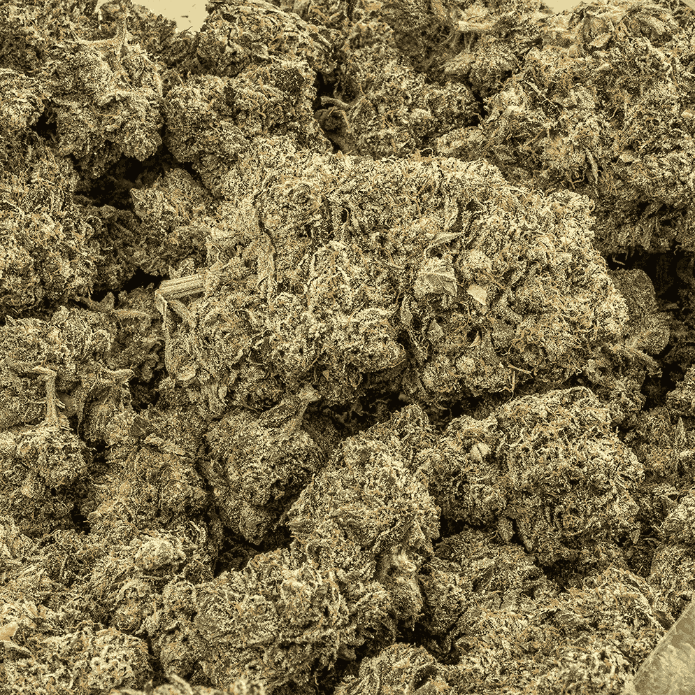 Pink Death Star is a rare, pure indica powerhouse born from Death Star and Blood Rose. Its dense, frosty buds shimmer with pink hues and amber hairs, releasing bold diesel and earthy spice aromas. Each inhale delivers notes of sweet berries and warm cinnamon with a rich diesel finish.