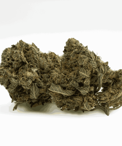 Shark Attack is a 70/30 indica-dominant strain born from White Widow and Super Skunk, featuring dense, dark buds and earthy pine flavors. With 20% THC, it delivers a fast-acting, deeply relaxing body high without completely knocking you out.