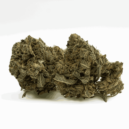 Shark Attack is a 70/30 indica-dominant strain born from White Widow and Super Skunk, featuring dense, dark buds and earthy pine flavors. With 20% THC, it delivers a fast-acting, deeply relaxing body high without completely knocking you out.
