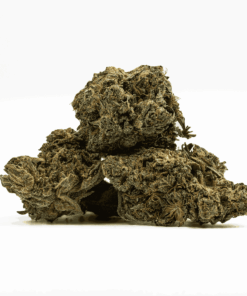 Shark Attack is a 70/30 indica-dominant strain born from White Widow and Super Skunk, featuring dense, dark buds and earthy pine flavors. With 20% THC, it delivers a fast-acting, deeply relaxing body high without completely knocking you out.