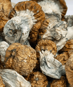 Avalanche is known for delivering a powerful and immersive psychedelic experience, often marked by vivid visuals, intense euphoria, and deep introspective states. Many users report a fast onset and a "wave-like" intensity, making this strain a favorite for experienced psychonauts seeking a deeper journey.